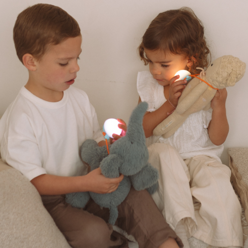 Two children telling stories with Snuggo on their plush toys